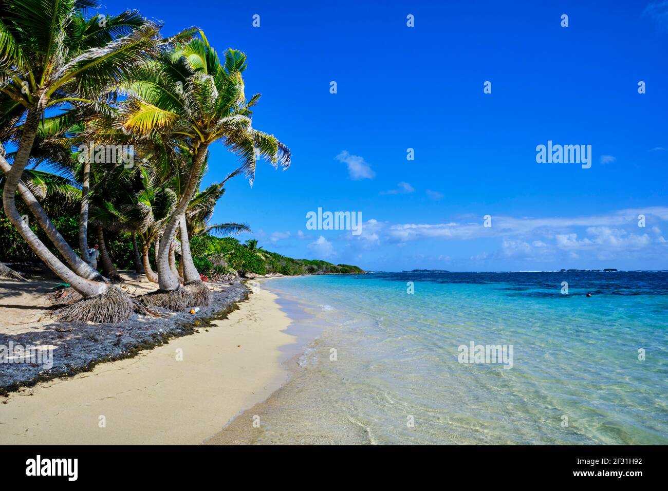 Frankreich, Westindien, Martinique, Sainte-Anne, Cap Chevalier, Der Strand von Anse Michèle Stockfoto