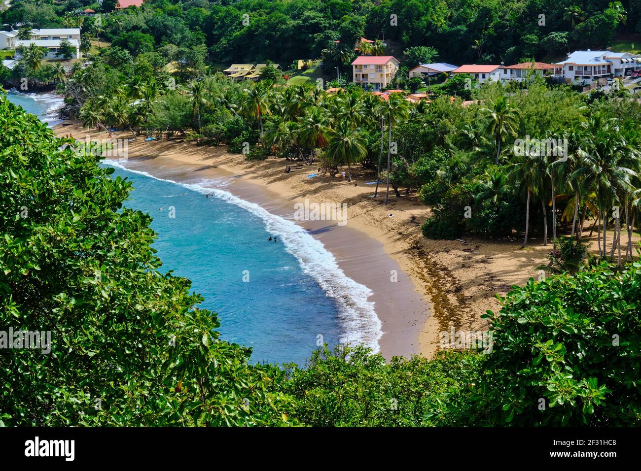 Frankreich, Westindien, Martinique, Naturschutzgebiet der Caravelle, Halbinsel der Caravelle Stockfoto