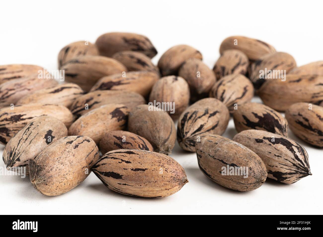 Pekannüsse in Schale auf weißem Hintergrund gesetzt. Stockfoto