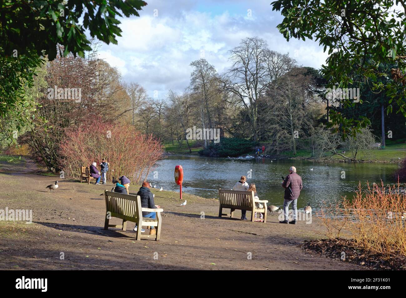 Der See in Kew Royal Botanic Gardens an einem Wintertag, Großraum London England Stockfoto