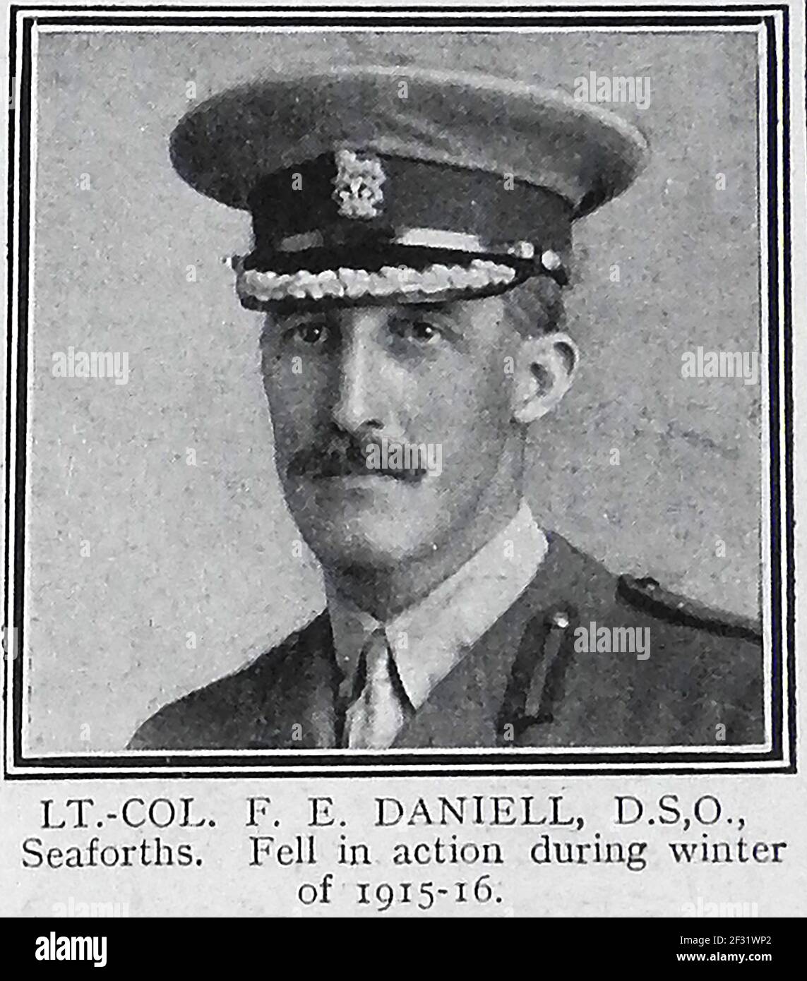 OBERSTLEUTNANT F E DANIEL. DSO (Seaforths) - EIN gedrucktes Porträt von einer Ehrenseite von 1914-1915 über die im Ersten Weltkrieg Getöteten. Stockfoto