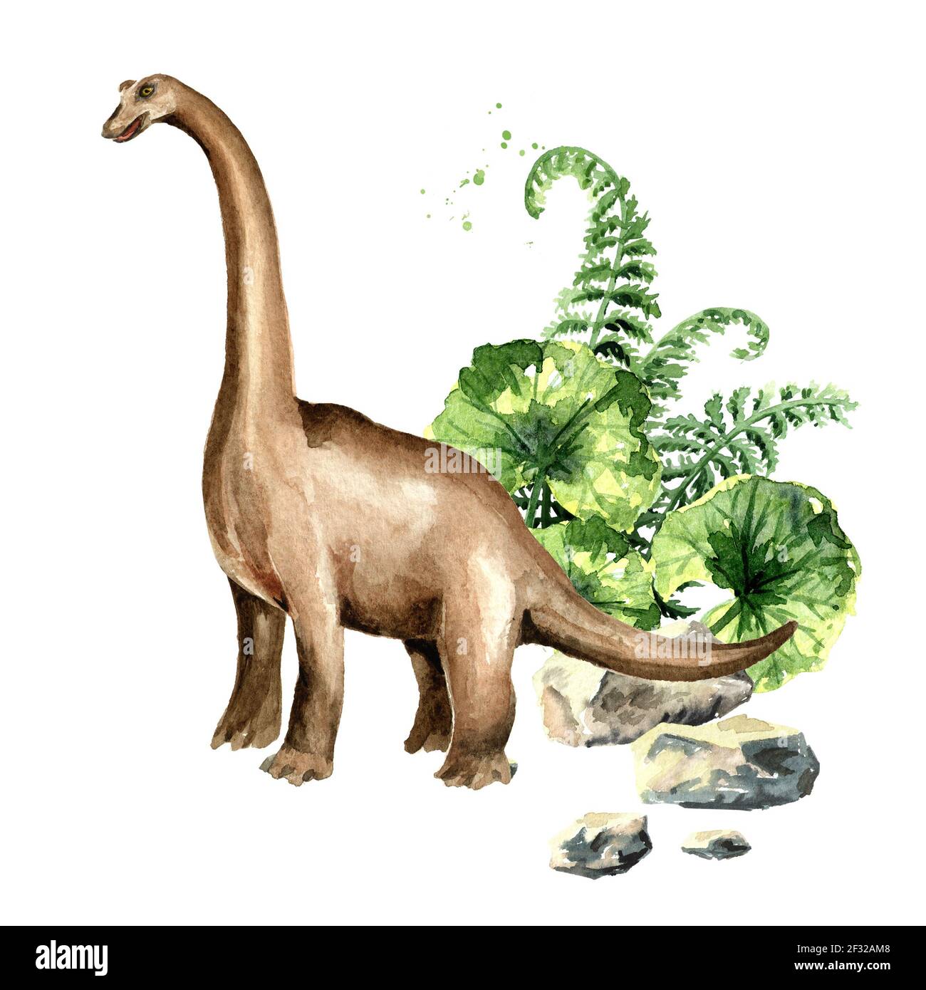 Brachiosaurus Dinosaurier mit prähistorischen Pflanzen. Aquarell handgezeichnete Illustration, isoliert auf weißem Hintergrund Stockfoto