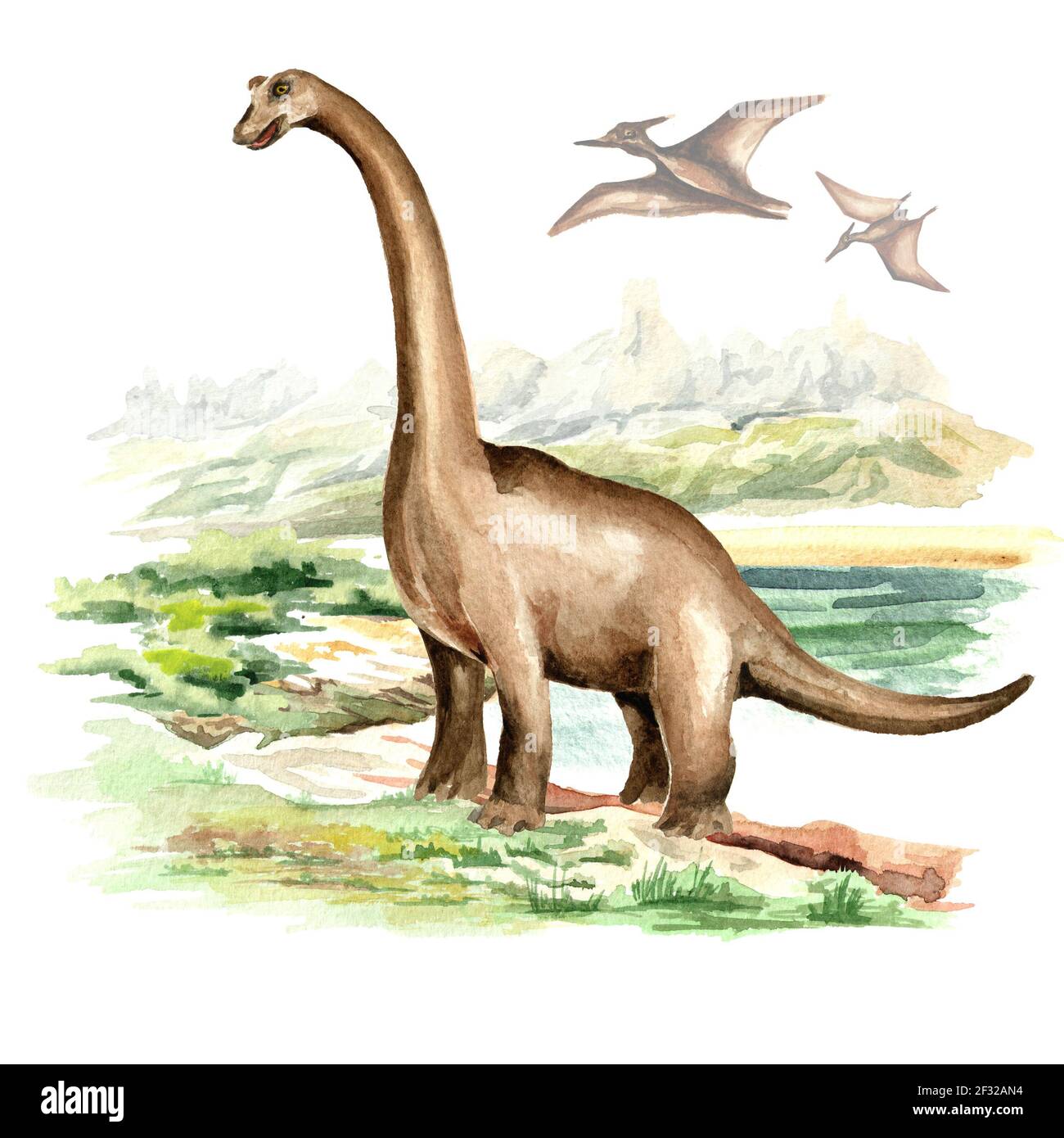 Brachiosaurus Dinosaurier in prähistorischer Landschaft. Aquarell handgezeichnete Illustration, isoliert auf weißem Hintergrund Stockfoto
