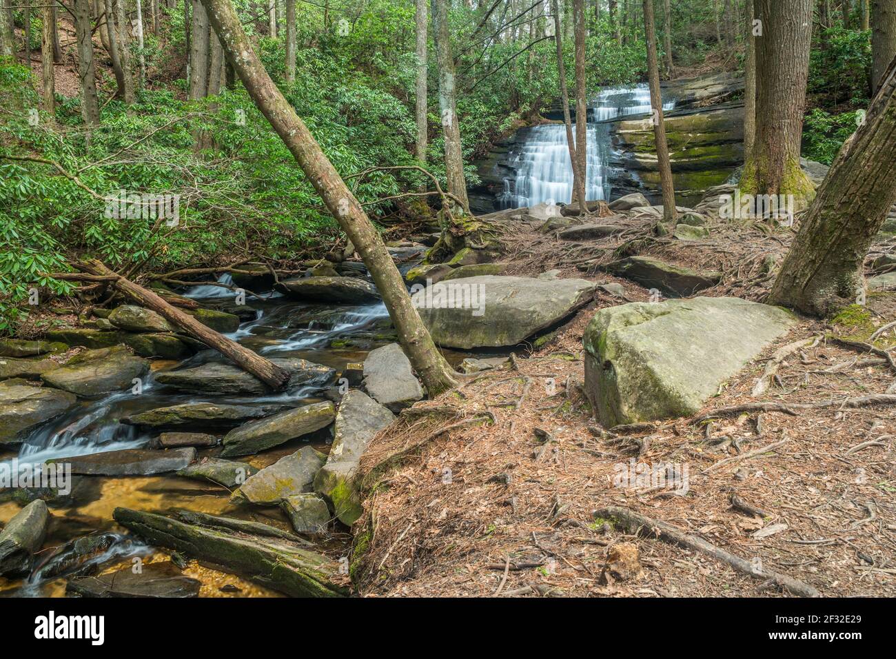 Langer Bach fällt in den Hintergrund mit dem Wasser fließt Stromabwärts durch die Felsen und Felsbrocken in den Wäldern hinein Der Norden Georgiens Berge in Stockfoto