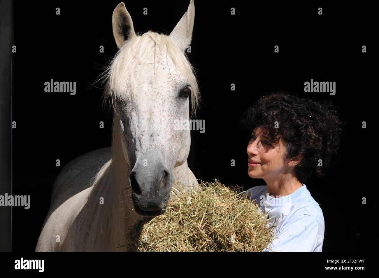 Frau füttert Pferd mit Heu, Pferdehalterung Stockfoto
