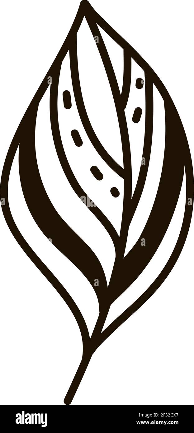 Detaillierte Feder, Illustration, Vektor auf weißem Hintergrund Stock Vektor