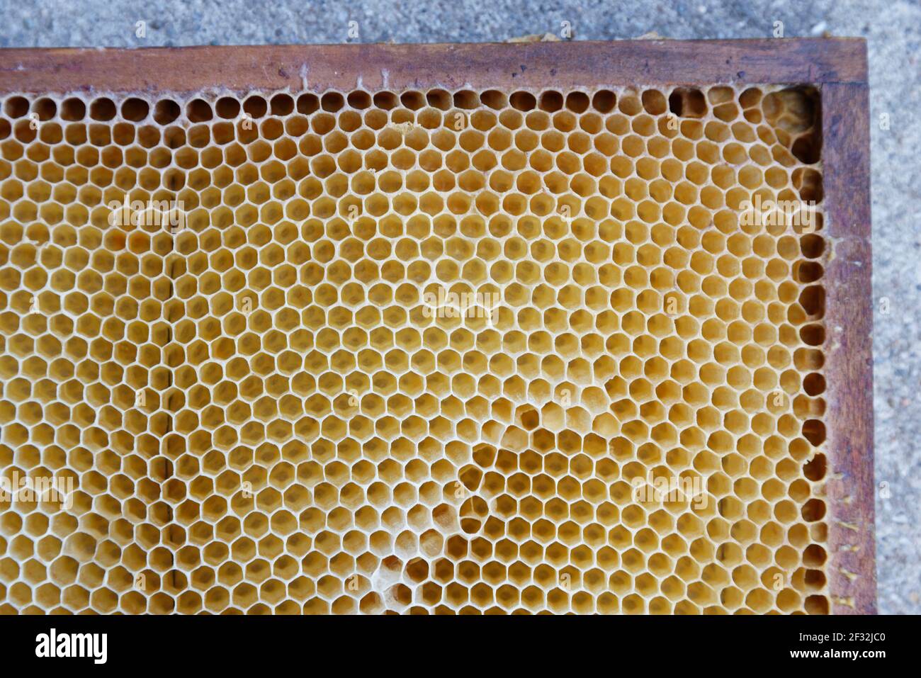 Knstliche und Ekty Wabe, Wachtendonk, Kleve, NRW, Deutschland  Stockfotografie - Alamy