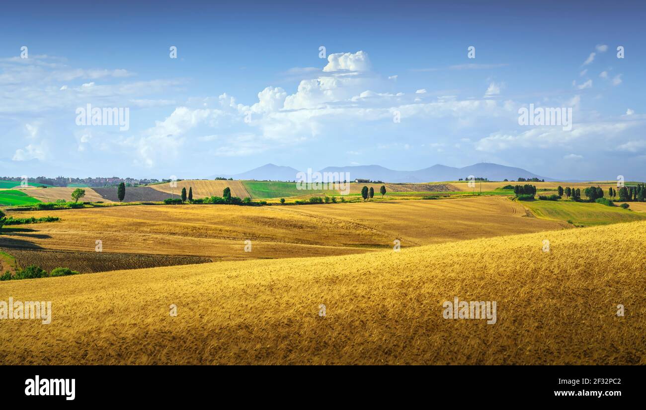 Toskanisches Landpanorama, sanfte Hügel und Weizenfelder. Santa Luce, Pisa Italien, Europa Stockfoto