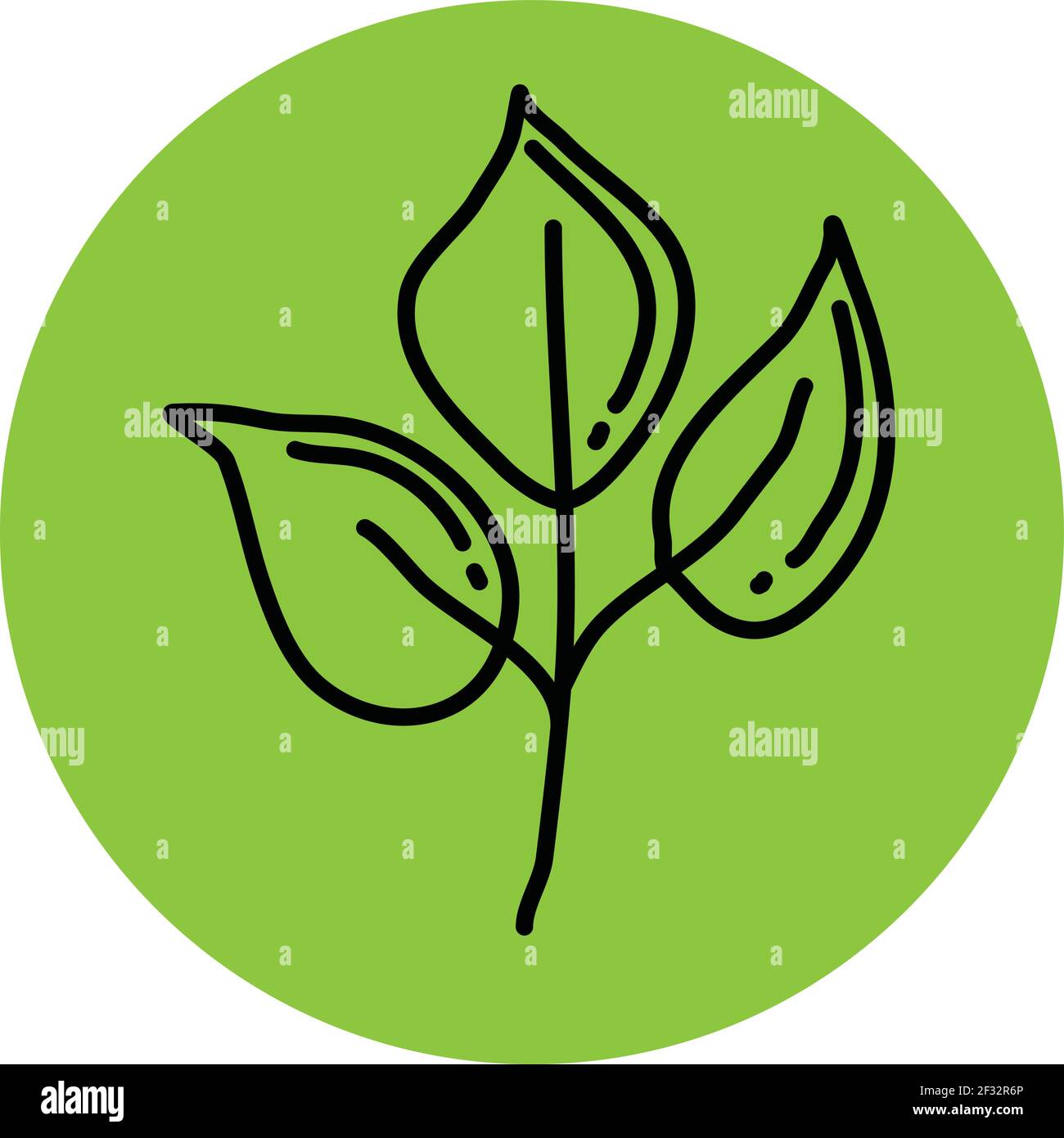 Grüne Gartenpflanze mit drei Blättern, Illustration, Vektor auf weißem Hintergrund Stock Vektor