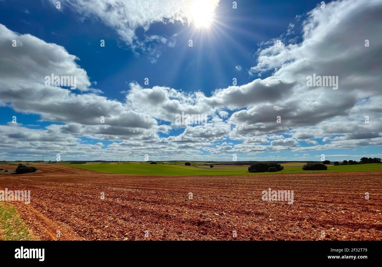 Frisch gepflügte Getreidefelder an einem Frühlingstag Mit Wolken am Himmel und der Sonne, die durchfiltert Die Wolken horizontal Stockfoto