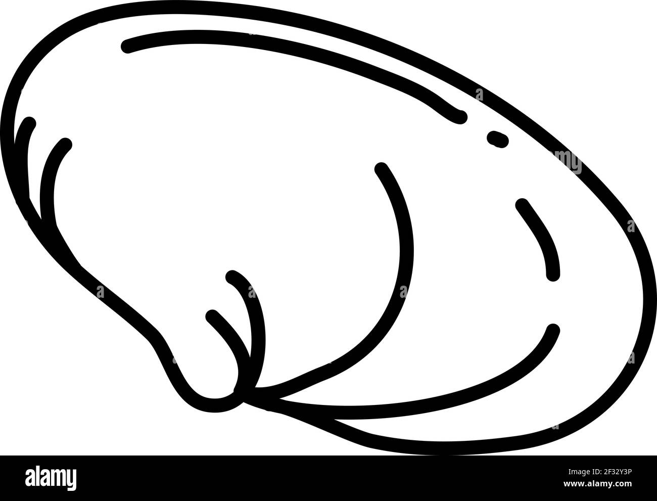 Meeresmuschel, Illustration, Vektor auf weißem Hintergrund Stock Vektor