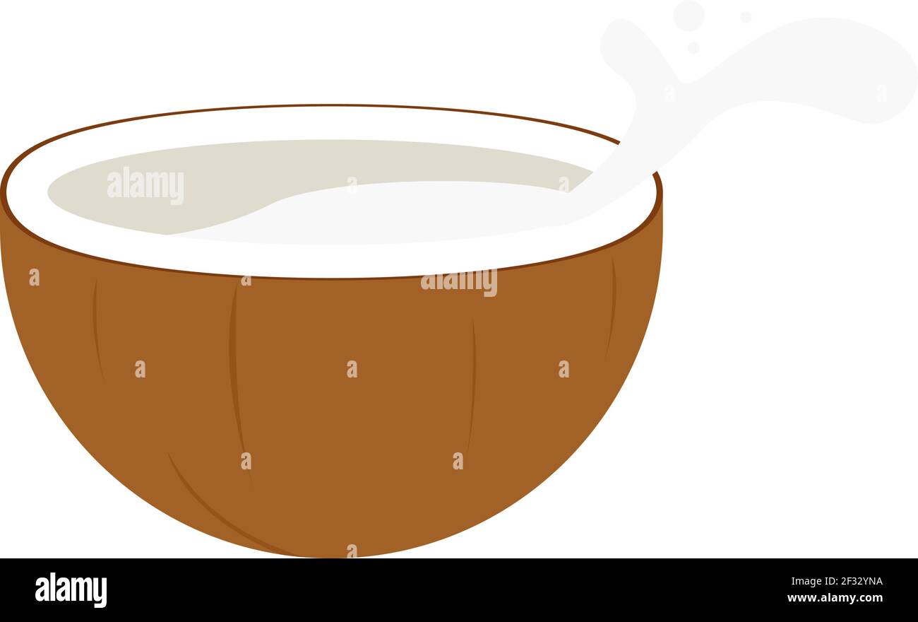 Hälfte der Kokosnuss, Illustration, Vektor auf weißem Hintergrund. Stock Vektor
