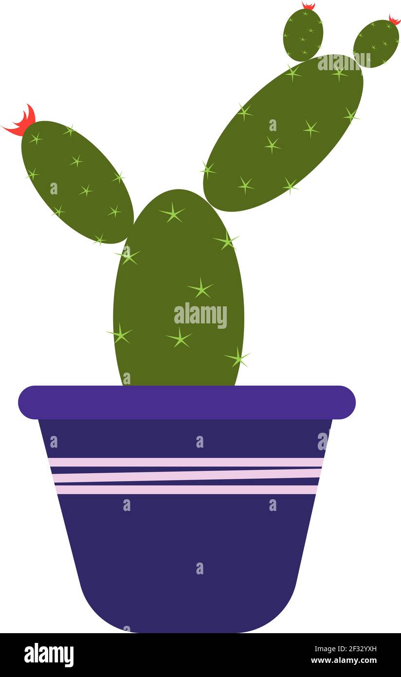 Kaktus im Topf, Illustration, Vektor auf weißem Hintergrund. Stock Vektor Kaktus im Topf, Illustration, Vektor auf weißem Hintergrund. Stock Vektor