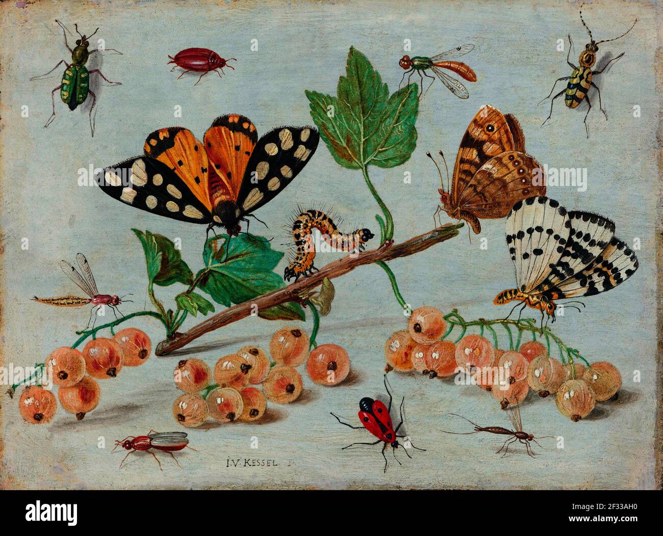 Insekten und Früchte, Jan van Kessel (I), c. 1653 Jan van Kessel malte verschiedene Arten von Käfer, Fliegen und Schmetterlingen in der Nähe eines Sprigs von weißen Johannisbeeren Stockfoto