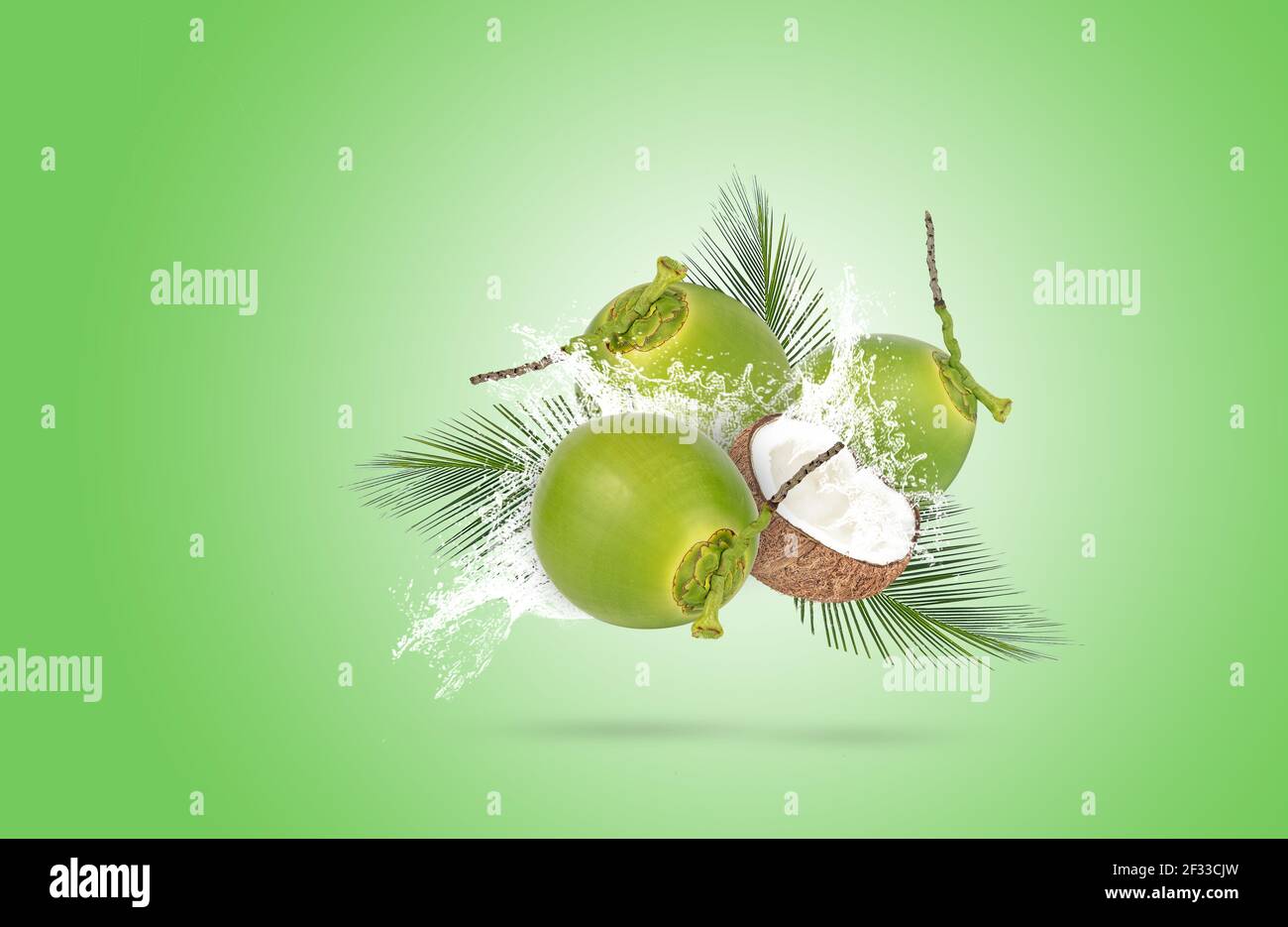 Grüne Kokosnuss und grüne Blätter im Wasser spritzten auf grünem Hintergrund. Stockfoto