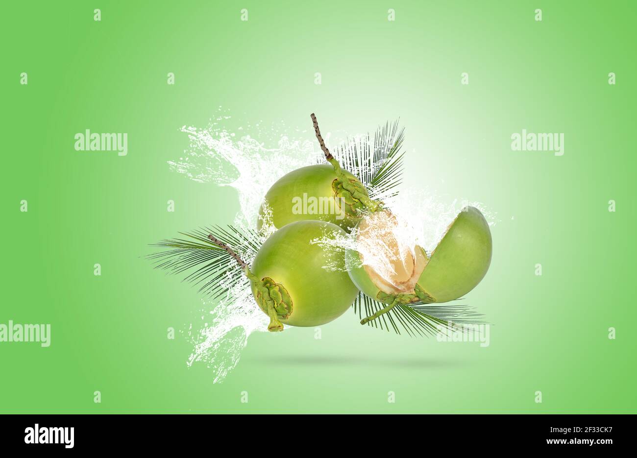 Grüne Kokosnuss und grüne Blätter im Wasser spritzten auf grünem Hintergrund. Stockfoto