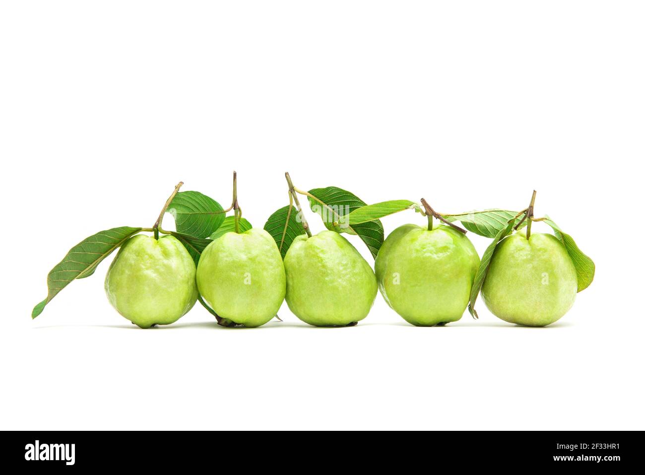 Frische Guava Früchte auf weißem Hintergrund Stockfoto