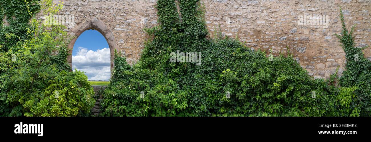 Alte, teilweise bewachsene Wand mit einem offenen, gotischen Fensterbogen Stockfoto