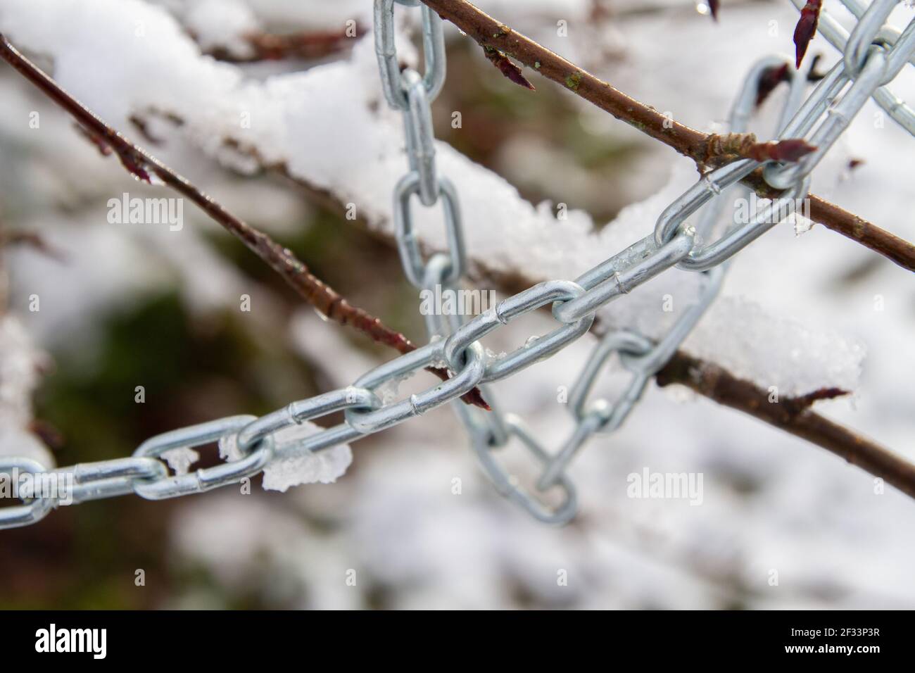 Metallkette, die im Winter an einem Buschzweig hängt Stockfoto