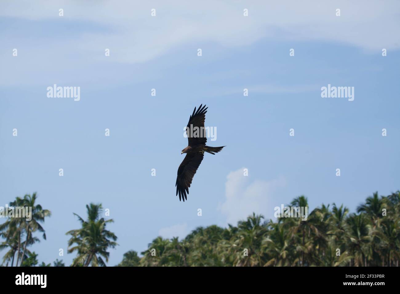 kadalundi Vogelschutzgebiet kadalundi kerala Stockfoto