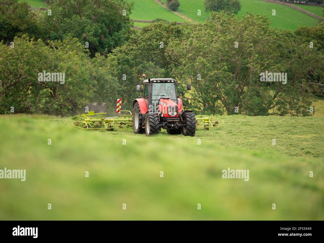 Traktor mäht und schneidet die Heusilage Stockfoto