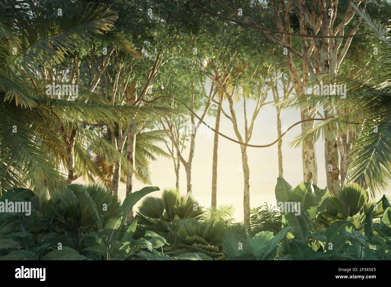 3D Rendering des grünen Dschungels in der Abendsonne Stockfoto