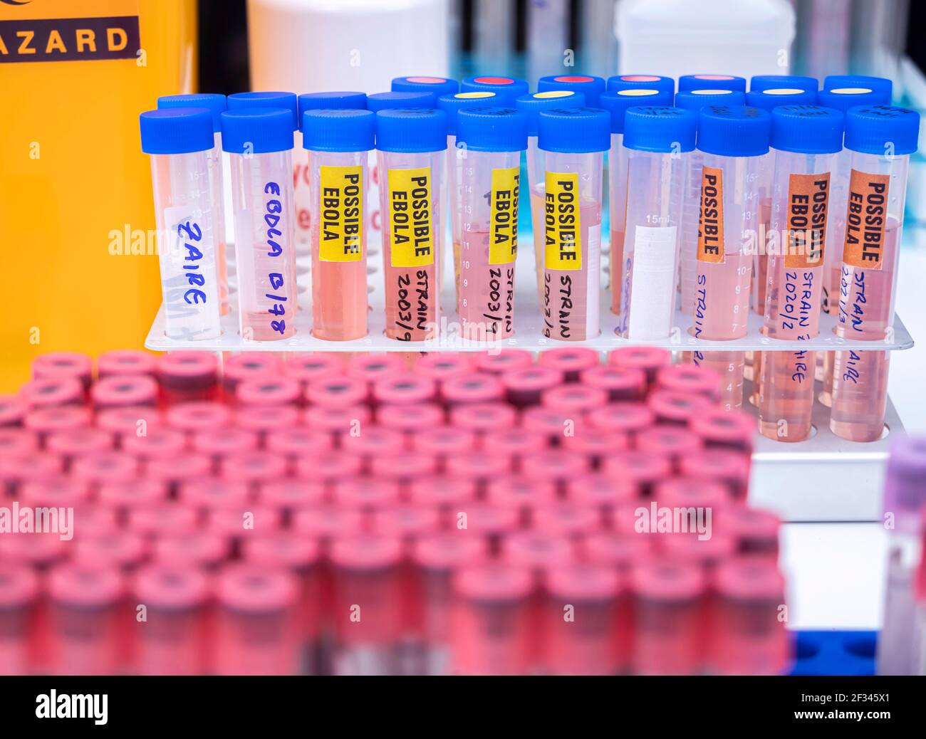 Probenfläschchen möglicher Ebola-Patienten, die mit dem neuen Zaire-Stamm von Ebola infiziert sind, Konzeptbild Stockfoto