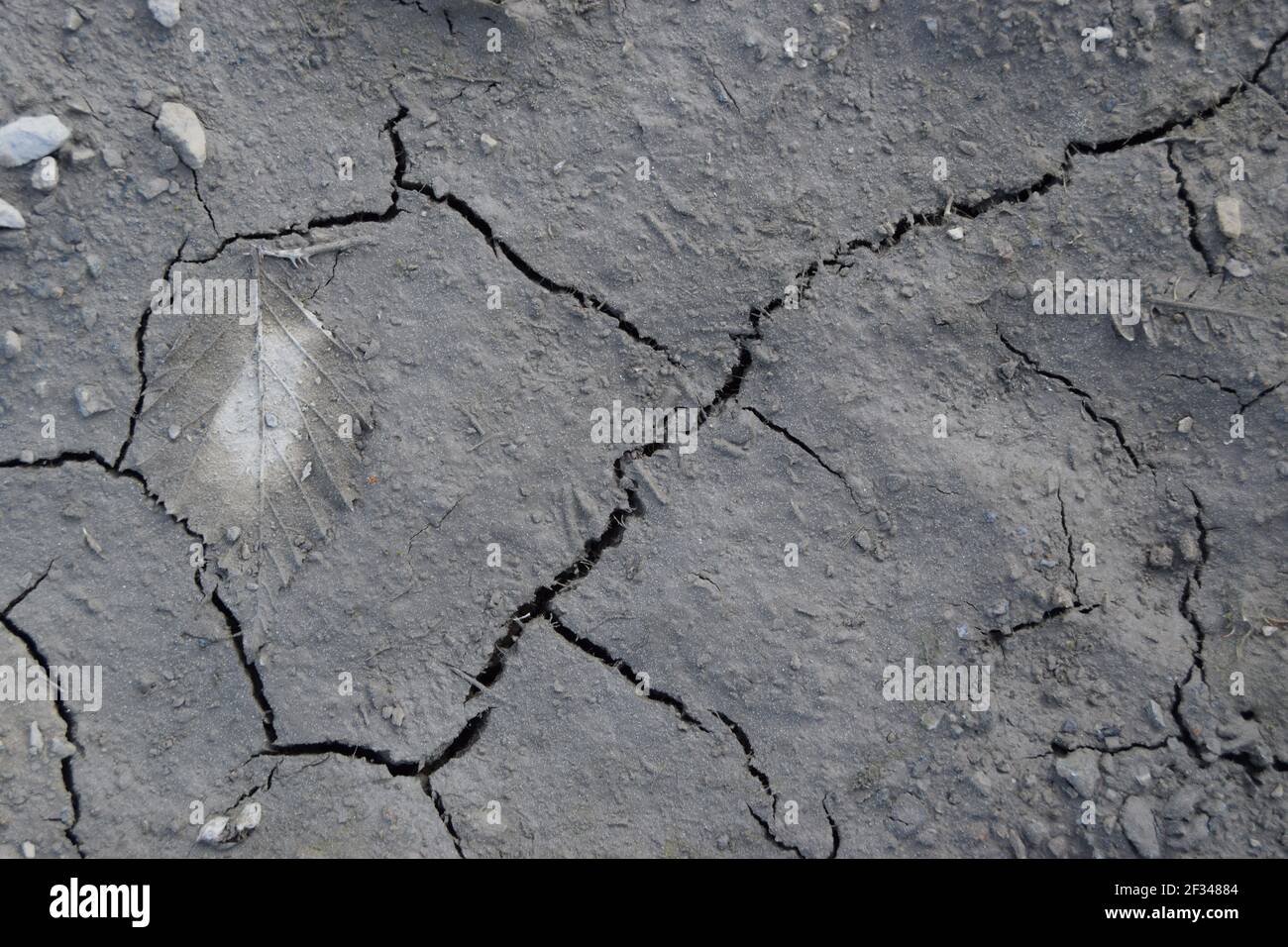 Zerbrochene Schlammlandschaft Stockfoto