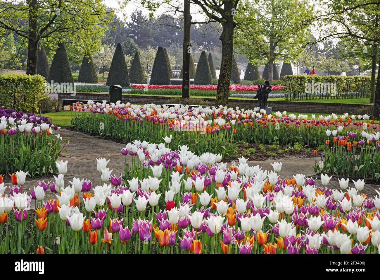 Keukenhof Gärten in SpringTulip Betten und andere Frühlingsblumen Niederlande PL001574 Stockfoto