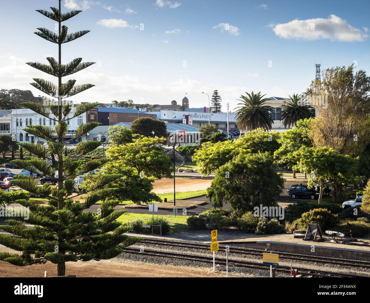 Ein Norfolk Island Pine Tree (Araucaria heterophylla) flankiert den Blick nach Norden, vorbei an Albanys Bahnhof zur Stirling Terrace. Stockfoto