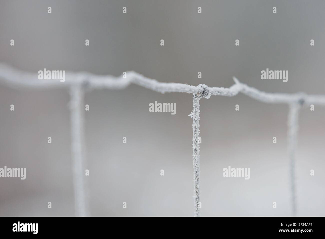 Frost auf dem Eisengitter-Makro. Schöne Winter Konzept Hintergrund. Nahaufnahme eines gefrorenen Eisenzaun. Stockfoto