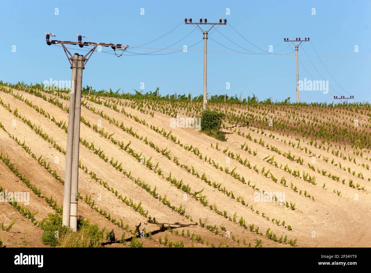 Alte elektrische Betonmasten, die durch die Landschaft führen, Südmähren Tschechische Republik Stockfoto