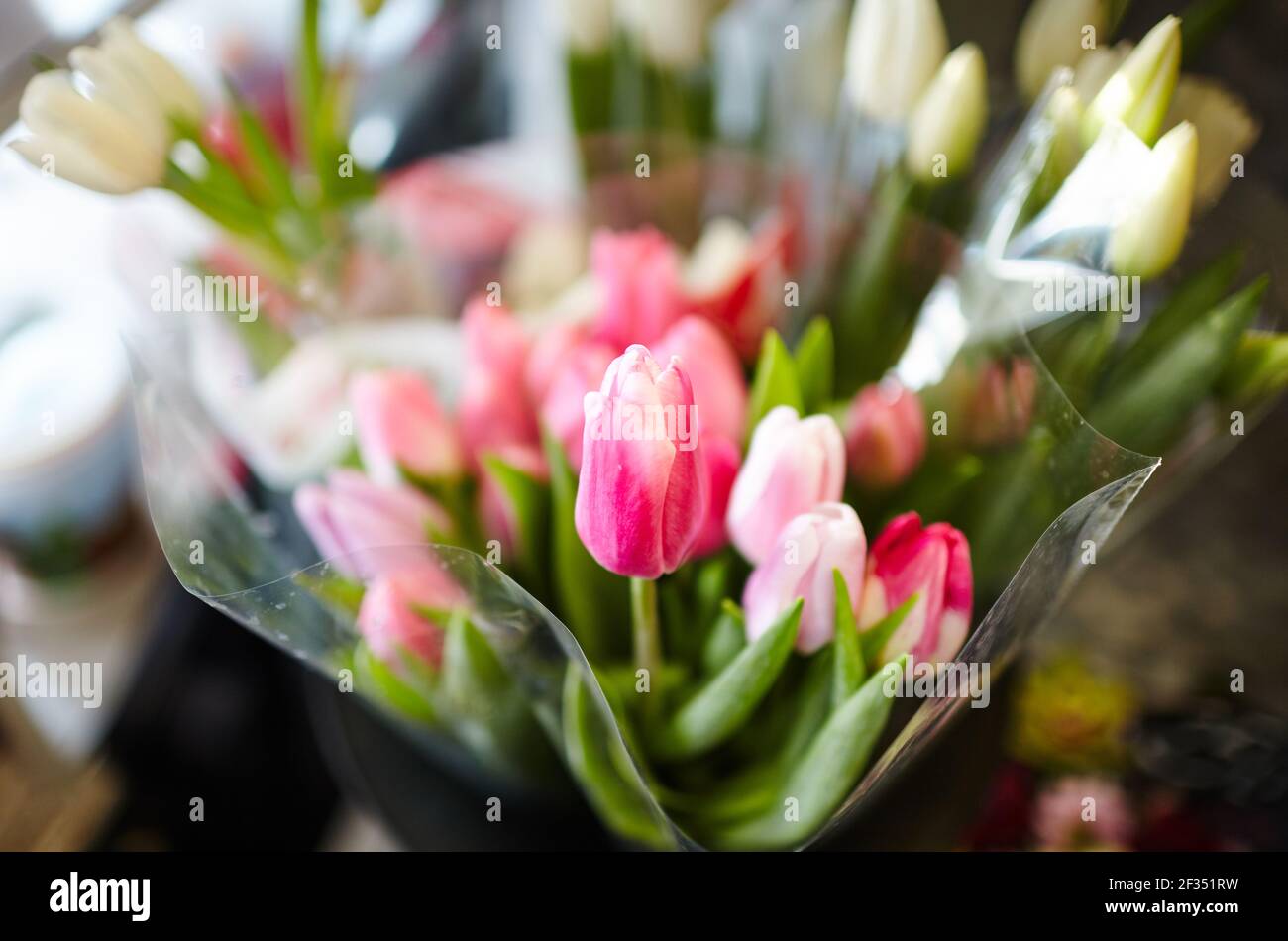 Verschwommenes Bild von Blumenstrauß von frischen Tulpen im Blumenladen. Frühlingsblumen Tulpenstrauß. Geschenk für romantische Datum. Zarte Frühlingsblumen Stockfoto