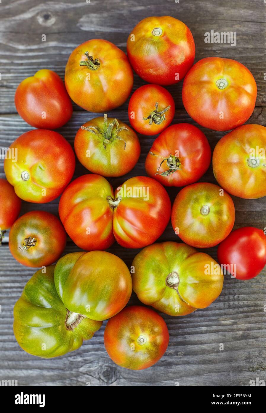 Rote hausgemachte Tomaten auf dem Tisch. Draufsicht Stockfoto
