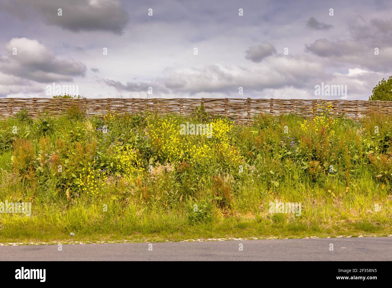 Ökologische Schallmauer Erdwand mit Weidenzaun von Weidenzweigen. Blumen und Bäume wachsen auf dem Deich mit Vegetation. Niederlande. Stockfoto