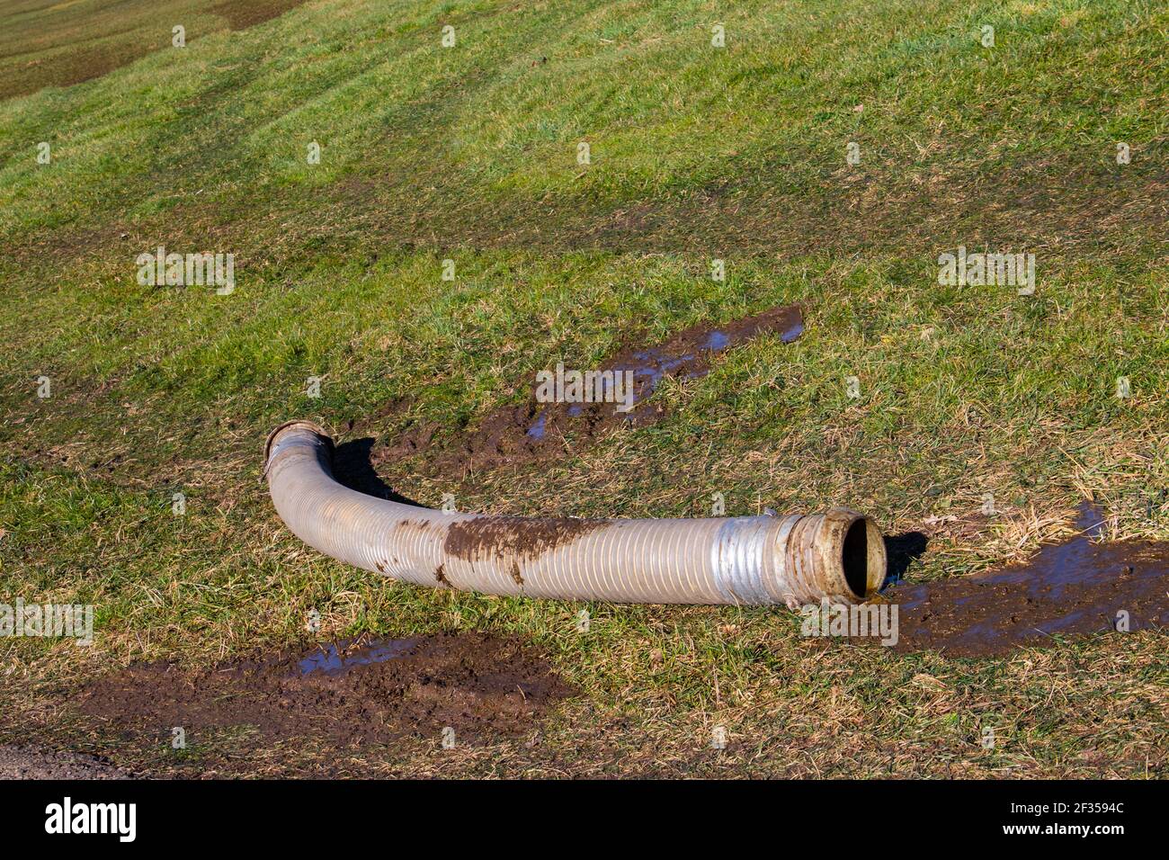 Großes Rohr mit Gülle oder Gülle liegt in der Gras Stockfoto