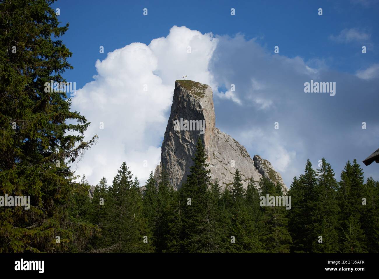 Die Spitze des Berges die Steine der Dame mit Wald Stockfoto