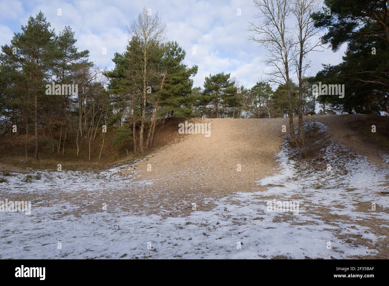 Besenhorster Sandberge Stockfoto