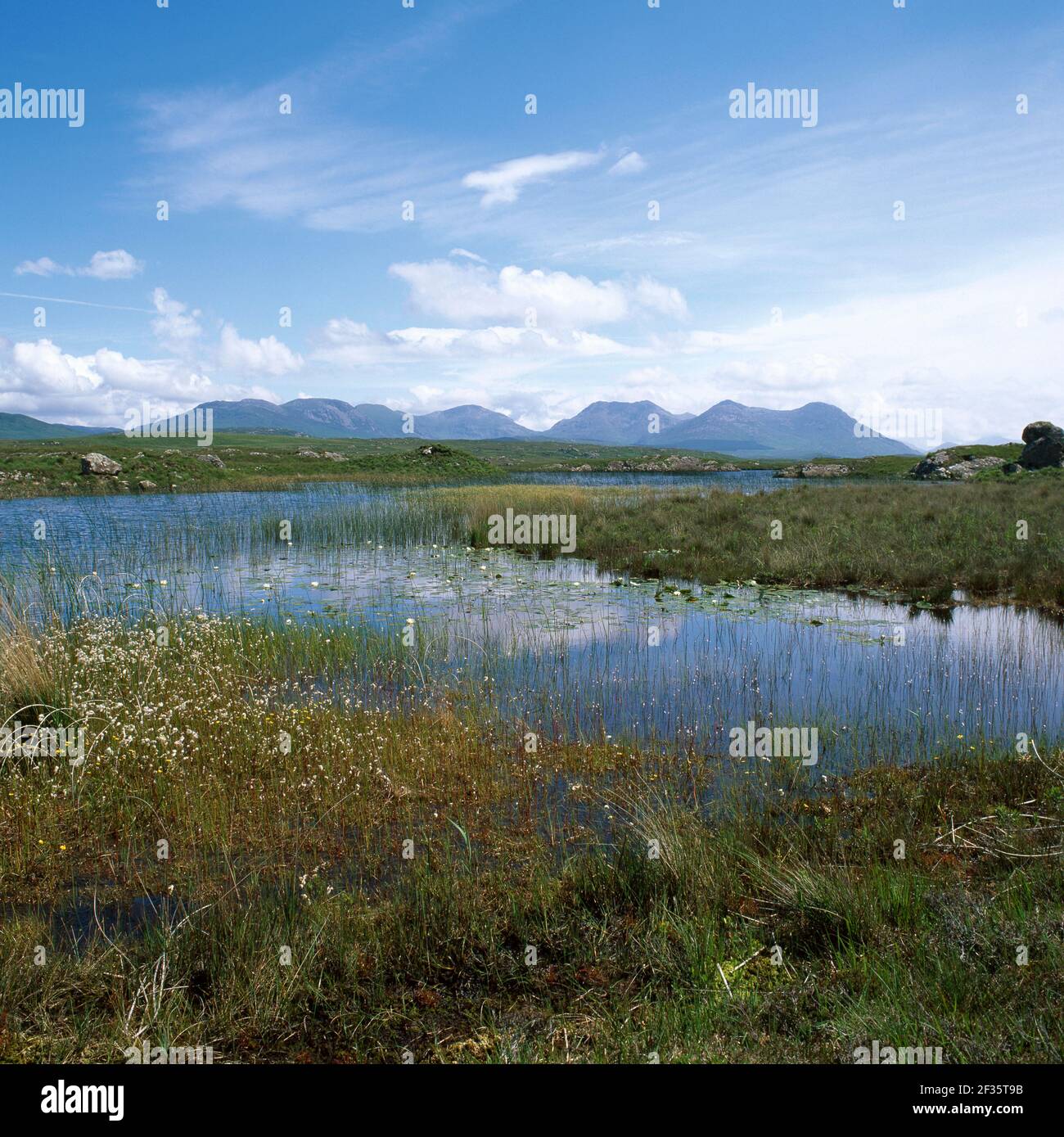 KLEINE POOLS Roundstone Moor Complex, West Galway, Irland Größte intakte Moor in Irland, Credit:Robert Thompson / Avalon Stockfoto