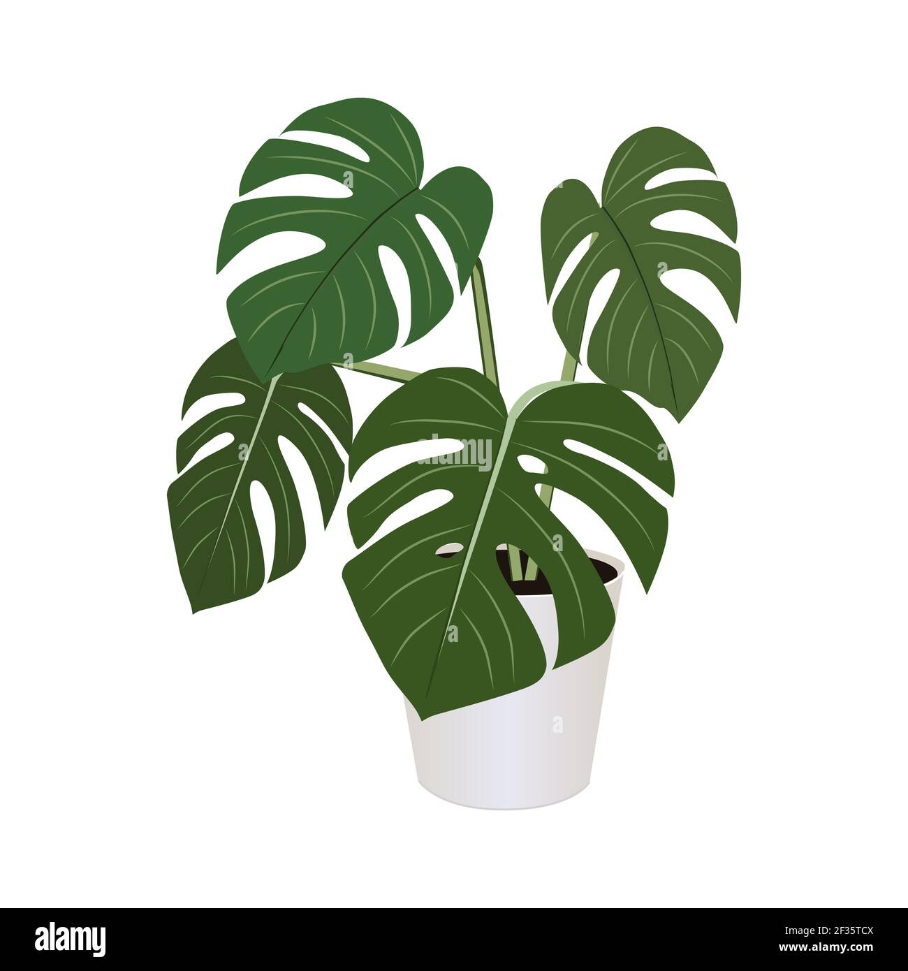 Monstera in Topf isoliert auf dem weißen Hintergrund, tropische Pflanzen, moderne Zimmerpflanzen, Vektor-Illustration Stock Vektor