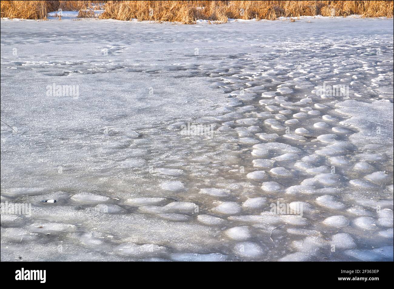 Eisschmelze in einem See in Ontario, Kanada. Globale Erwärmung. Stockfoto