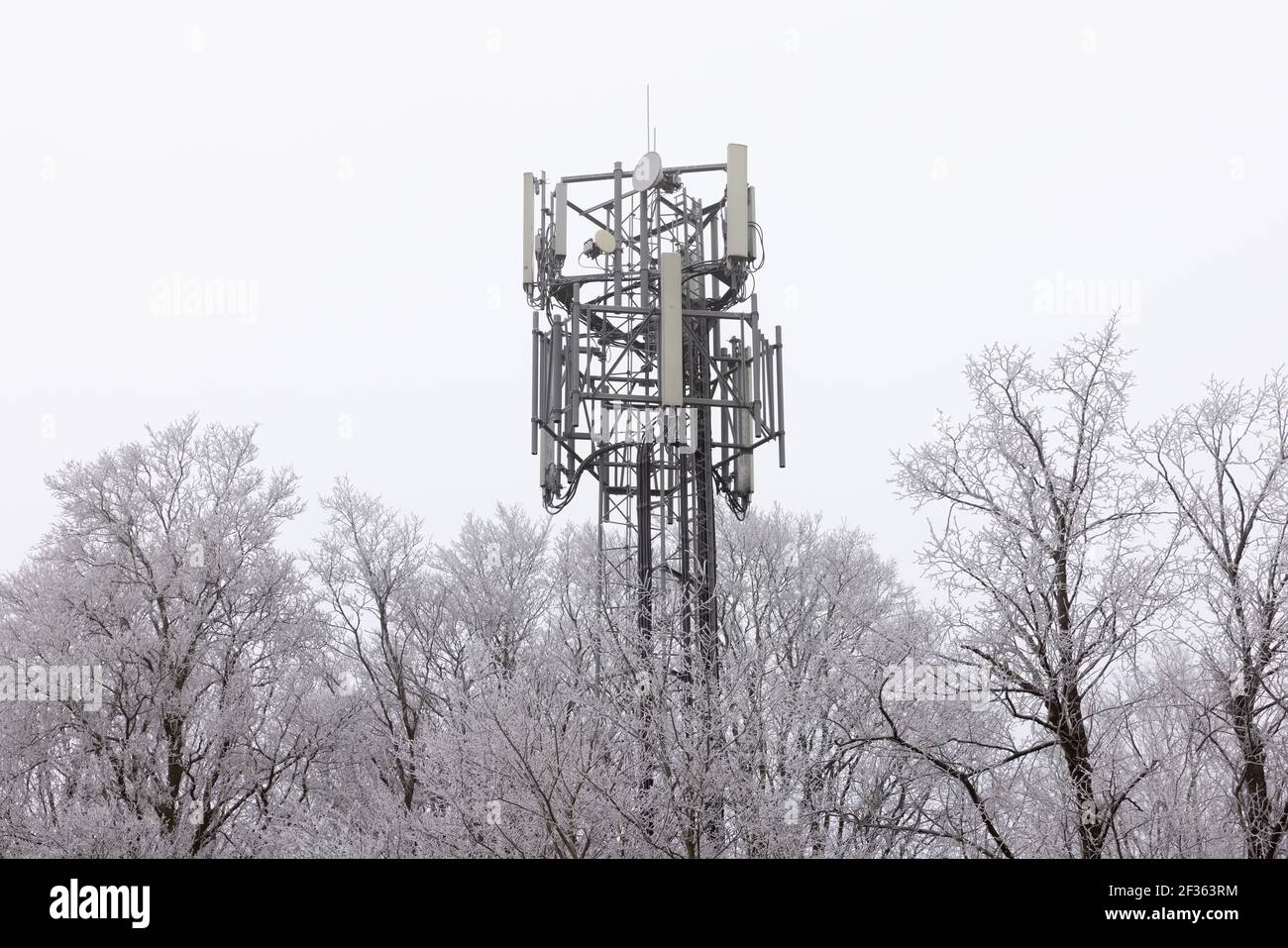 Handy-Mast teilweise von Bäumen bedeckt mit Frost an einem kalten bewölkten Tag verdeckt. Stockfoto