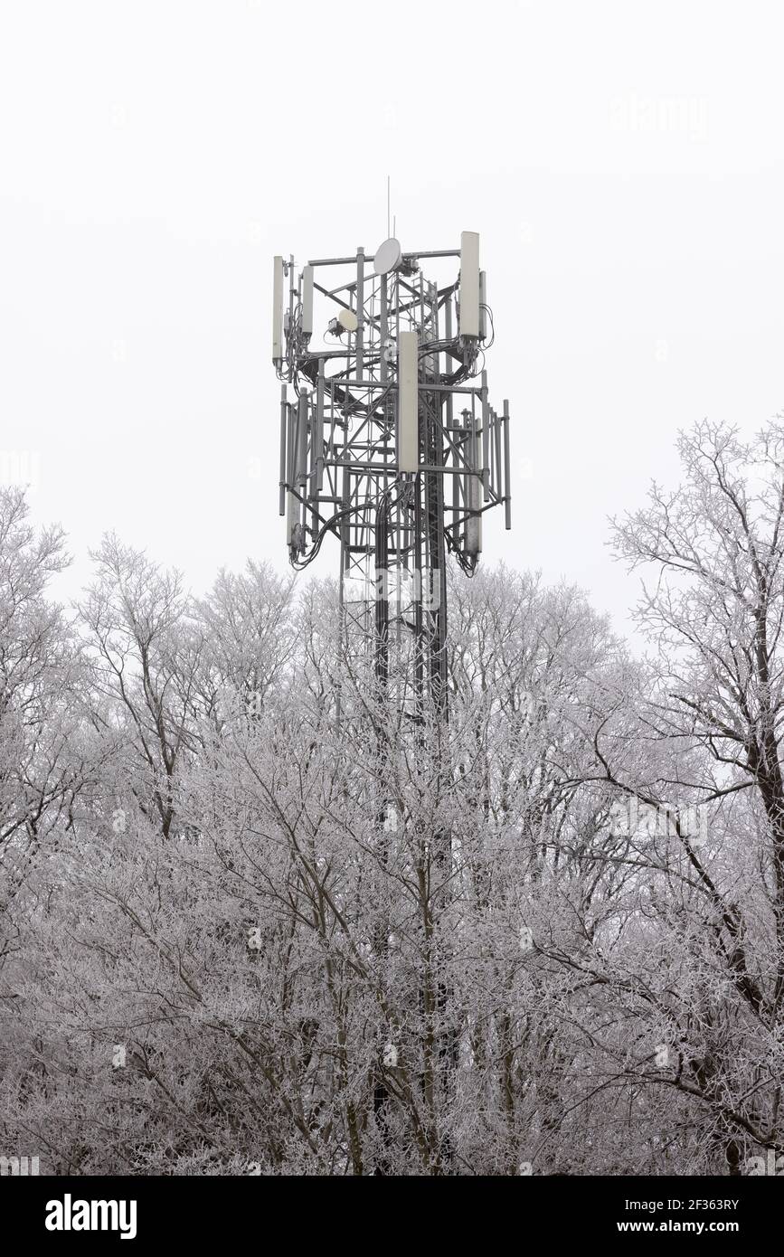 Handy-Mast teilweise von Bäumen bedeckt mit Frost an einem kalten bewölkten Tag verdeckt. Stockfoto