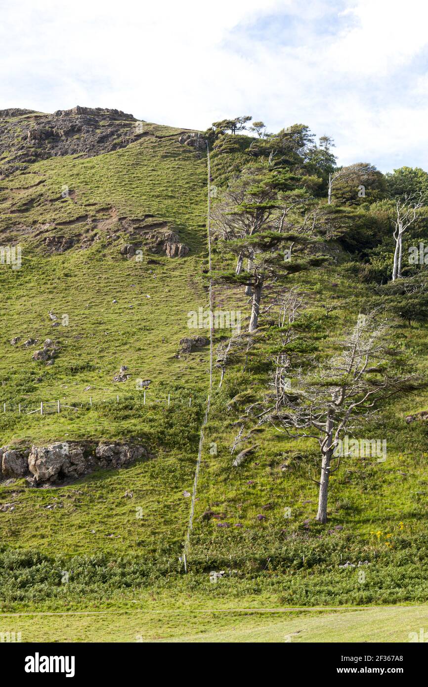 Hügel geteilt durch einen Zaun, Calgary, Isle of Mull, Argyll und Bute, Innere Hebriden, Schottland, Großbritannien Stockfoto