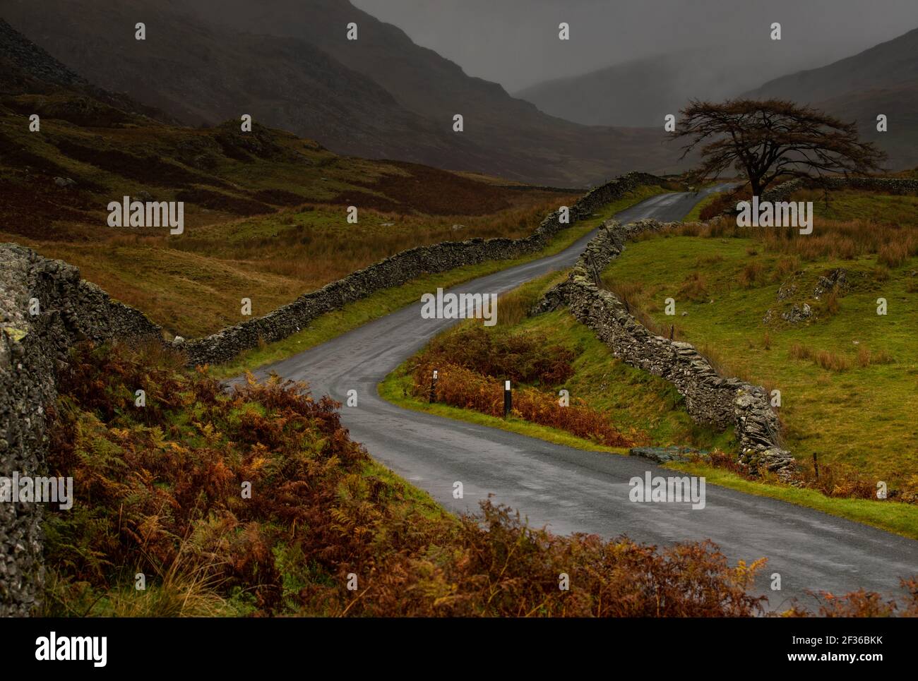 Gesamtansicht der Landschaft gegen dunkle Wolken im Lake District, Cumbria. Stockfoto