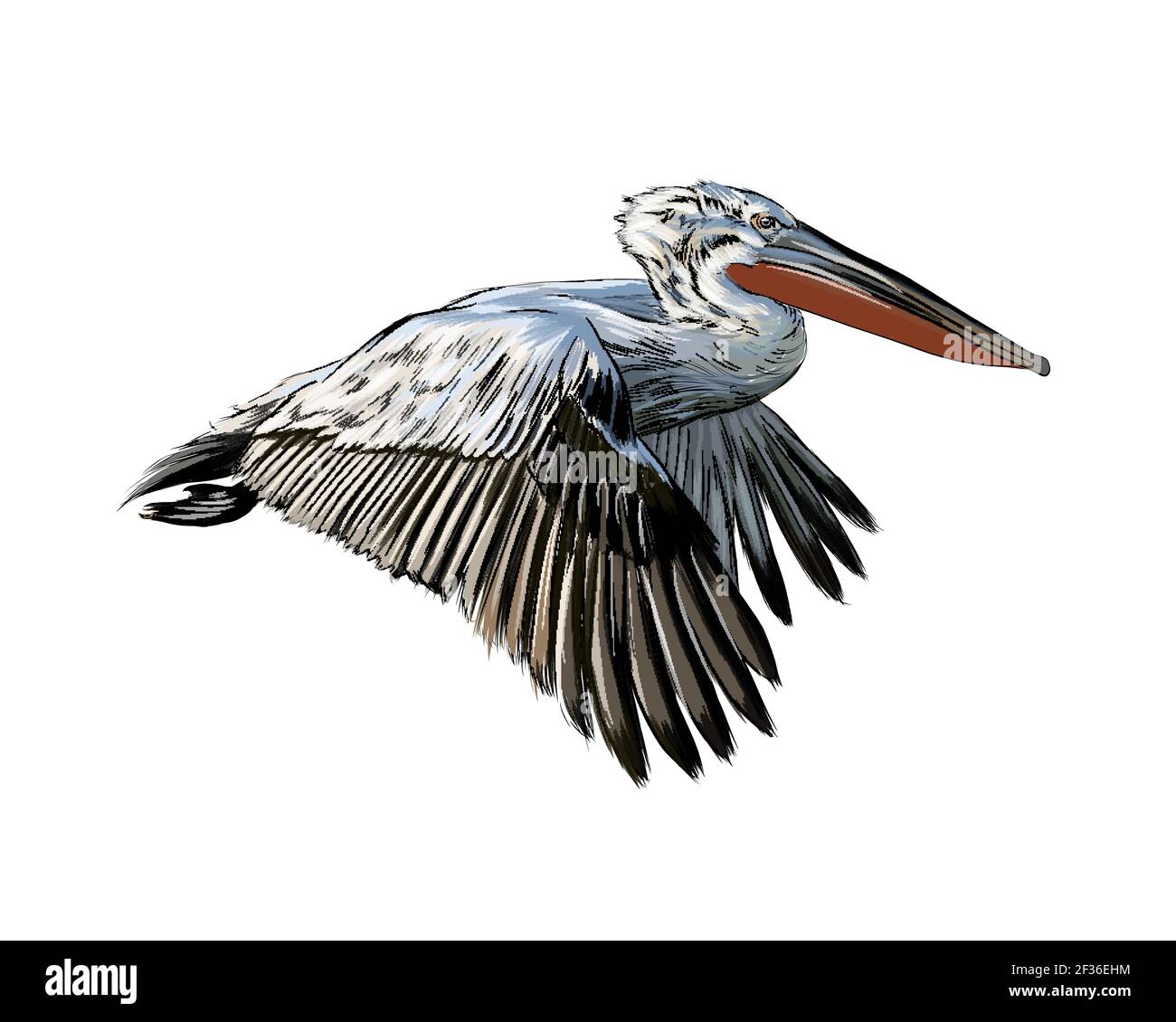 Pelikan aus einem Spritzer Aquarell, farbige Zeichnung, realistisch. Vektordarstellung von Farben Stock Vektor