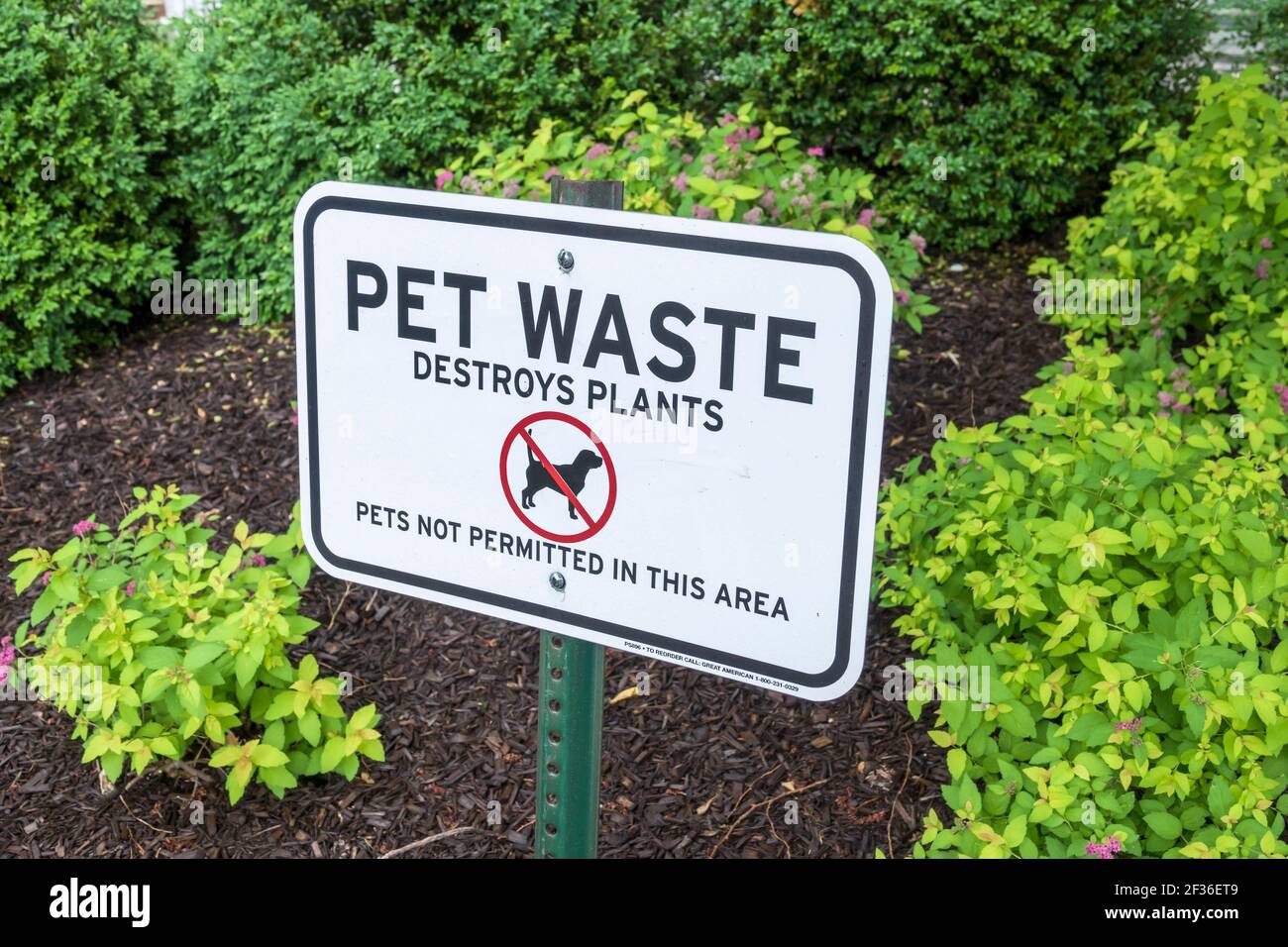 Washington DC, Logan Circle, Nachbarschaft Gartenschild keine Haustiere Haustierabfall, Stockfoto