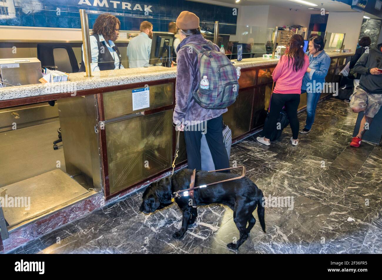 Washington DC, Union Station, Bahnhof Terminal Amtrak Ticket Fenster, Black man behinderten Passagier Fahrer Service Hund innen, Kauf Schalter Stockfoto