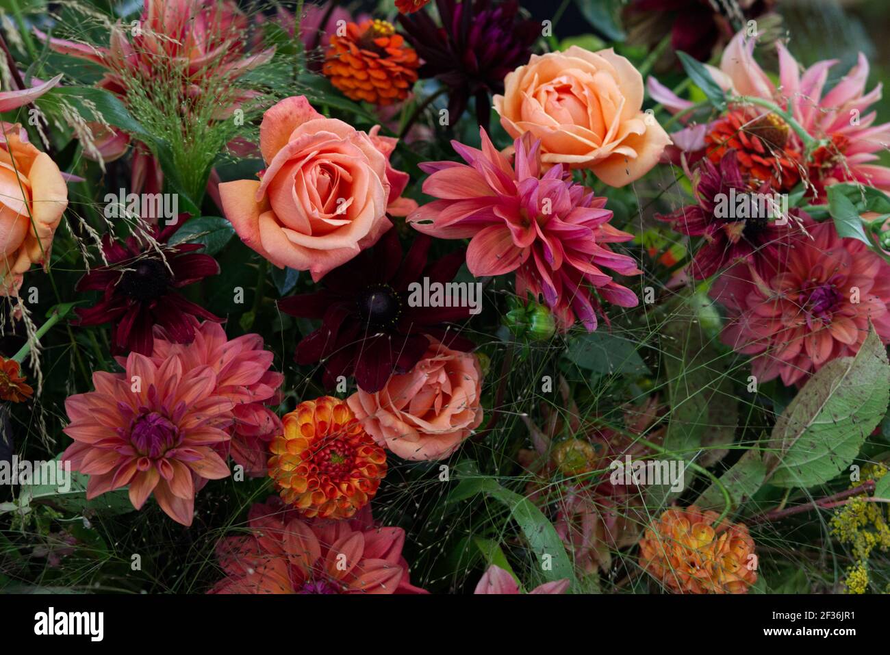 Blumenstrauß von Dahlien und Rosen Stockfoto