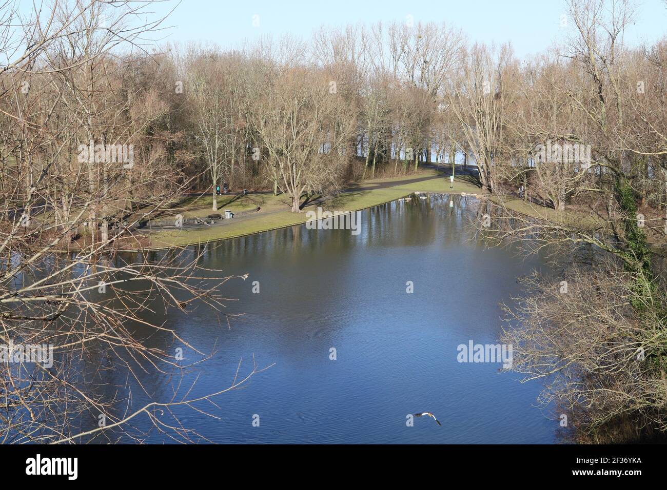 See in einem Park Stockfoto